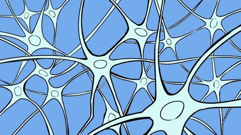 نوروفیدبک به افراد در ترمیم مسیرهای عصبی مغز کمک می کند