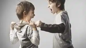 مشاوره پرخاشگری کودک چطور انجام میشود؟ 2 علت پرخاشگری کودکان چیست؟