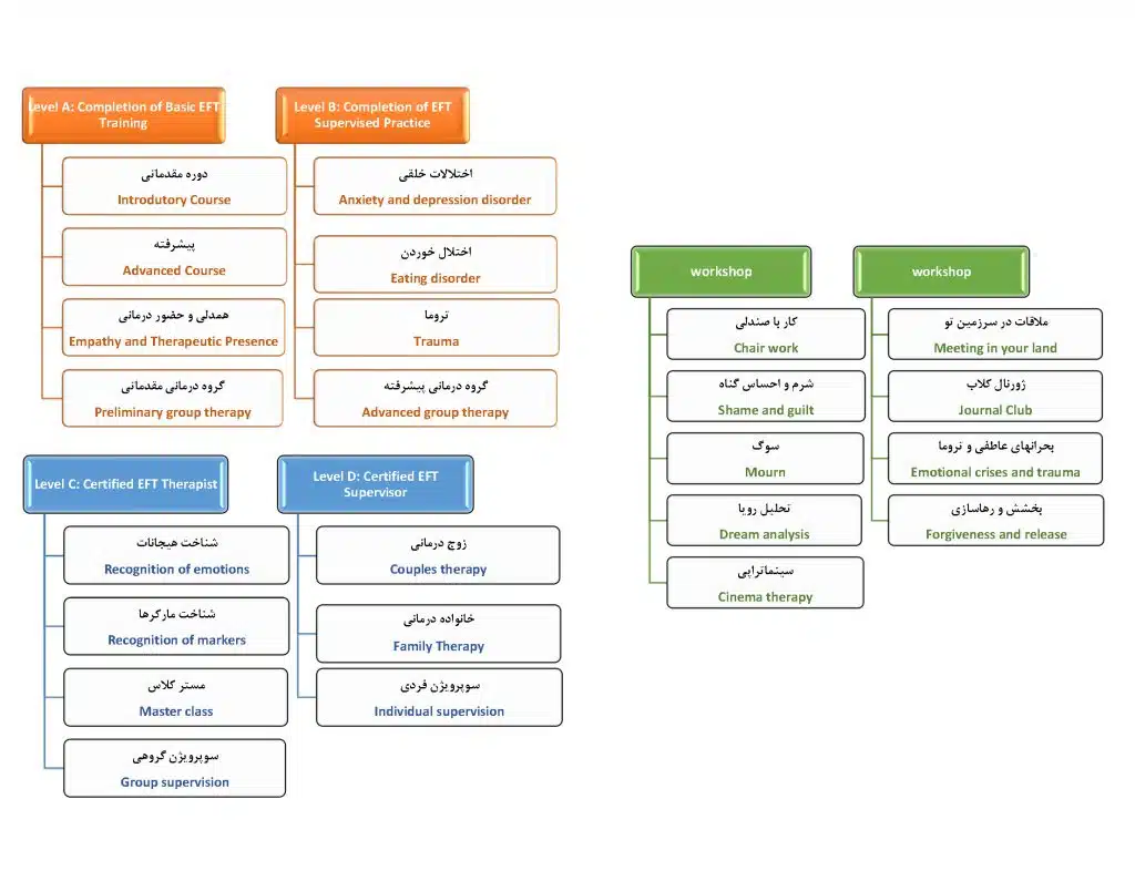 آکادمی EFT بینش نوین 7 سرفصل های دوره هیجان مدار