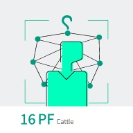 تست شخصیت 16 عاملی کتل (16PF)