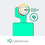 تست هوش تصویری IQ کتل - فرم B