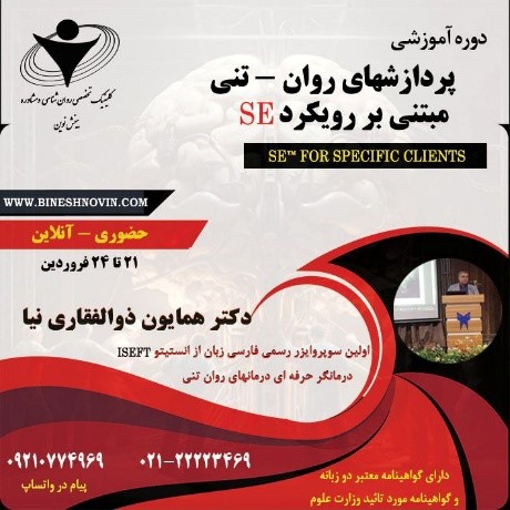 دوره جامع تربیت درمانگر با رویکرد سایکوسوماتیک (روانتنی) SE Emotion-Somatic Focus Therapy 8 Picture3