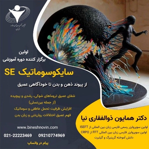 دوره جامع تربیت درمانگر با رویکرد سایکوسوماتیک (روانتنی) SE Emotion-Somatic Focus Therapy 9 Picture4