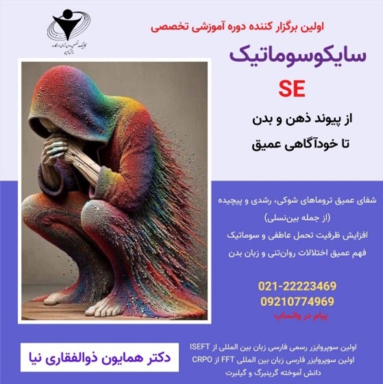 دوره جامع تربیت درمانگر با رویکرد سایکوسوماتیک (روانتنی) SE Emotion-Somatic Focus Therapy 10 Picture5