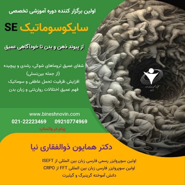 دوره جامع تربیت درمانگر با رویکرد سایکوسوماتیک (روانتنی) SE Emotion-Somatic Focus Therapy 11 Picture6